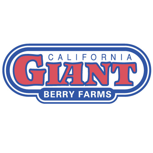 california giant berry farms logo color